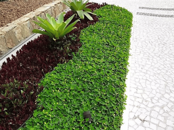 Áreas de Jardim
