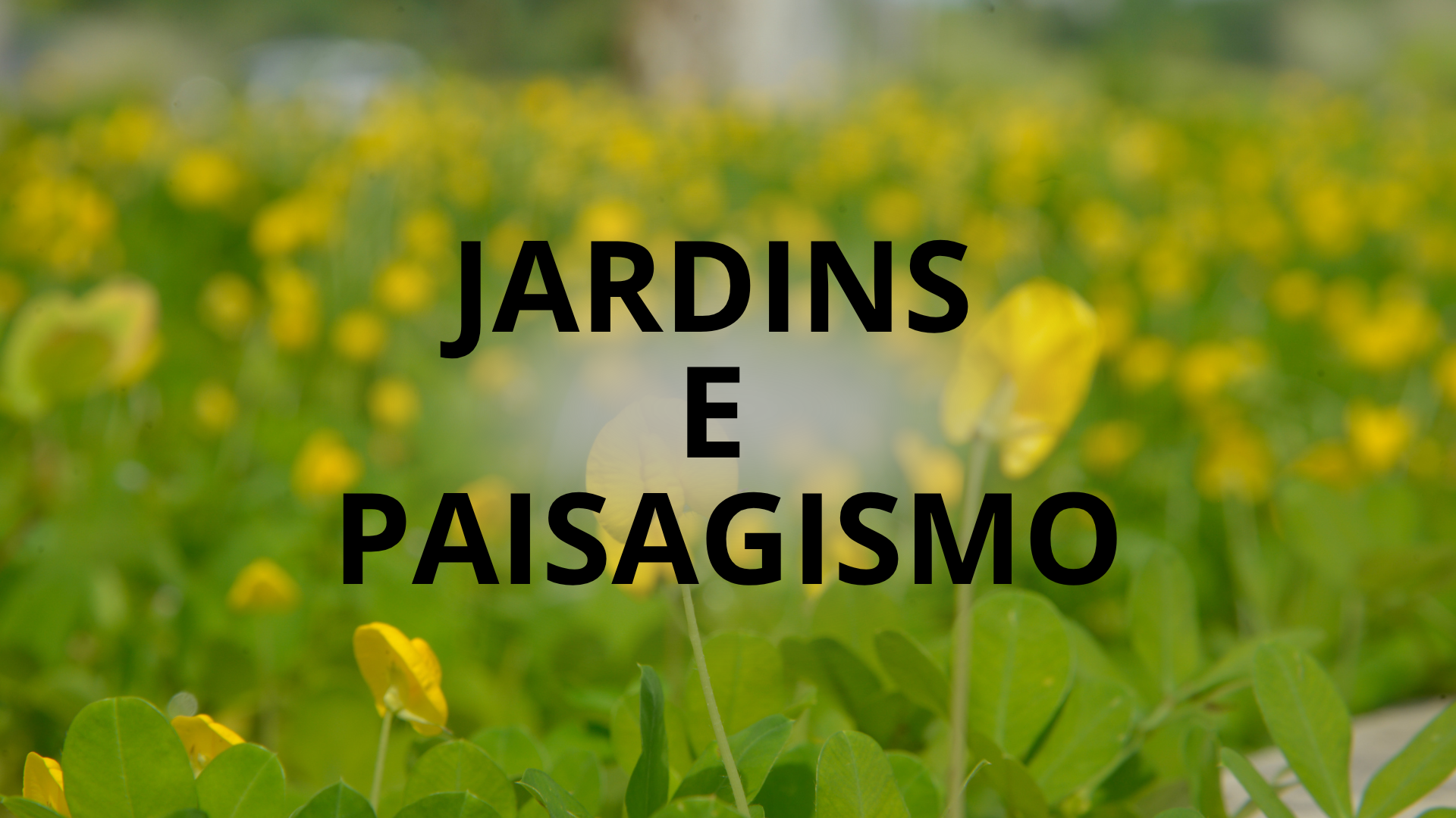 Paisagismo e Jardins