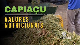 capa-para-blog-capiacu-valores-nutricionais-