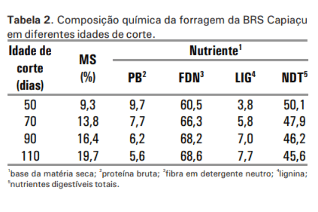 valor nutricional capiaçu