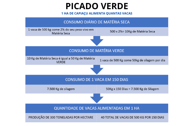 picado verde capiaçu