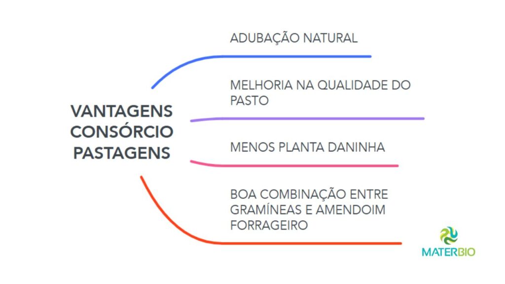 VANTAGENS CONSÓRCIO