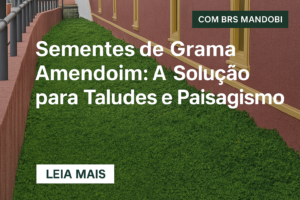 semente grama amendoim