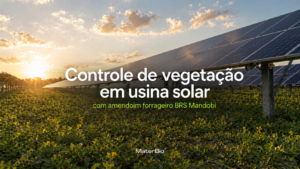 controle vegetação usina solar