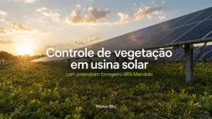 controle vegetação usina solar