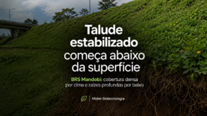 grama talude