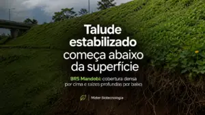 grama talude